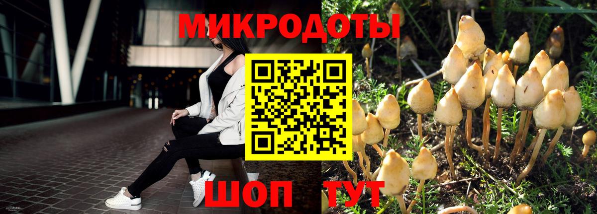 Псилоцибиновые грибы Cubensis Новошахтинск